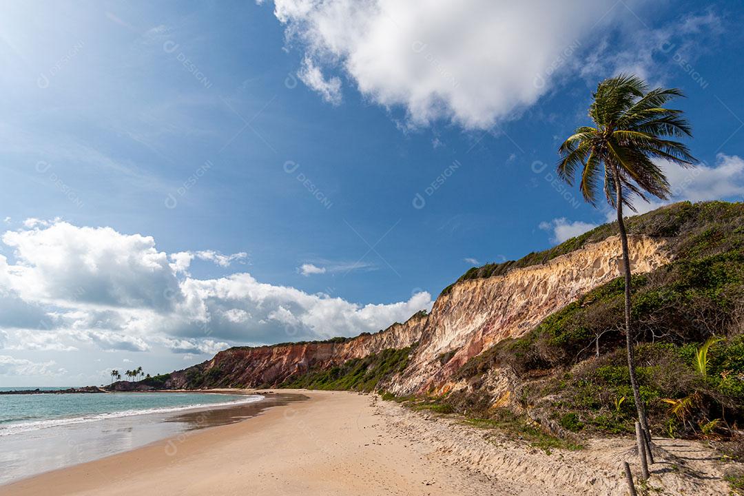 Foto Praia Mar Céu Limpo Penhasco Turistas Imagem JPG