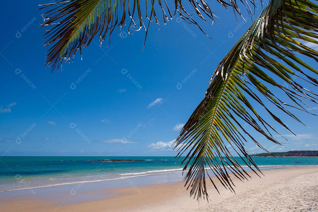 Foto Praia Mar Céu Limpo Penhasco Turistas Imagem JPG