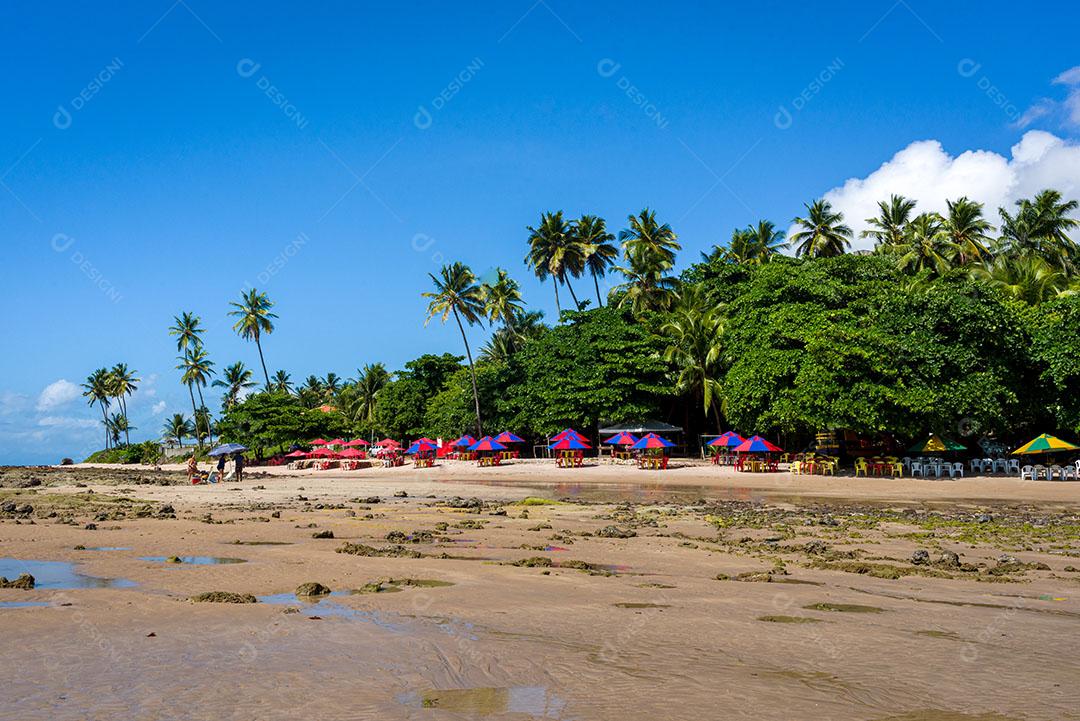 Foto Praia Mar Céu Limpo Penhasco Turistas Imagem JPG