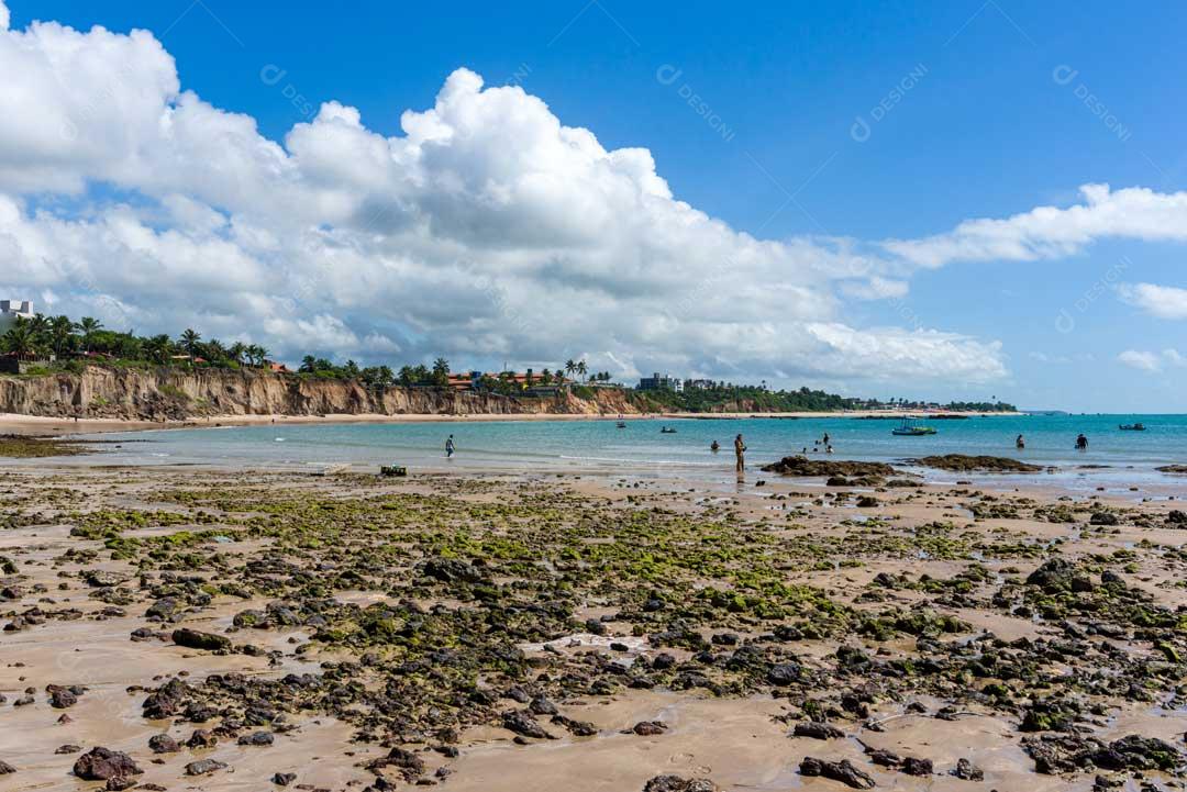 Foto Praia Com Algas Areias Mar Azul Imagem JPG