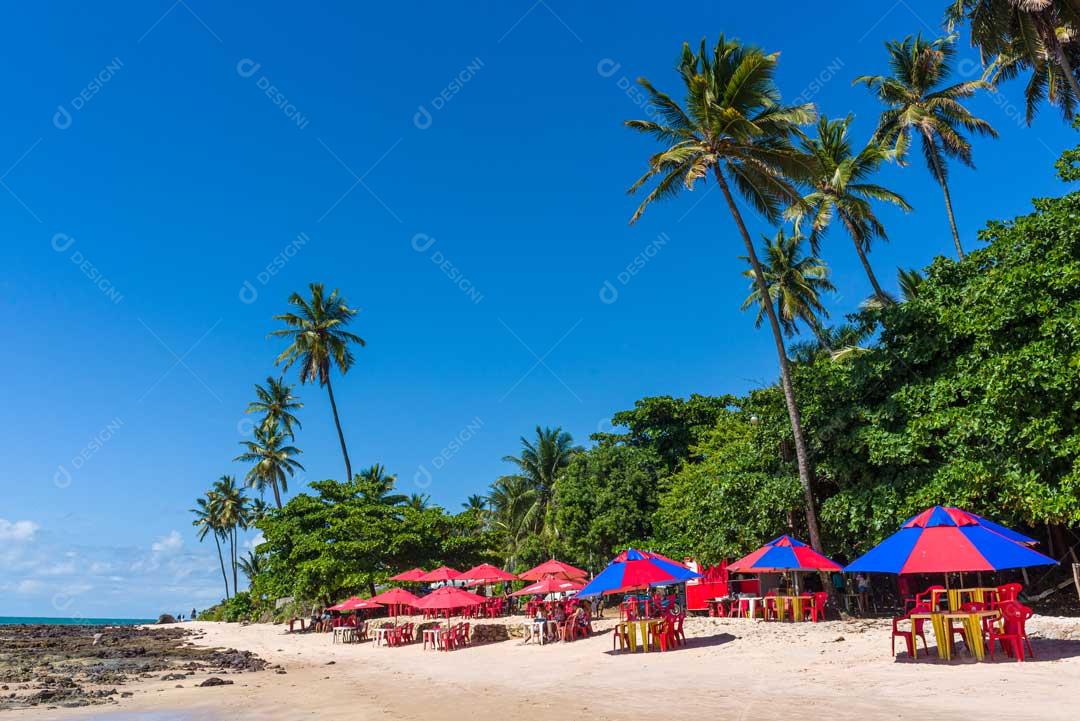 Foto Praia Com Paisagem Verde Guarda Sol Imagem JPG