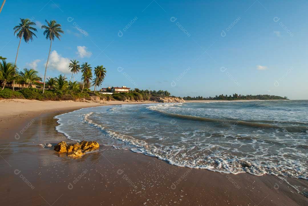 Foto Praia Areias Lago Coqueiros Imagem JPG