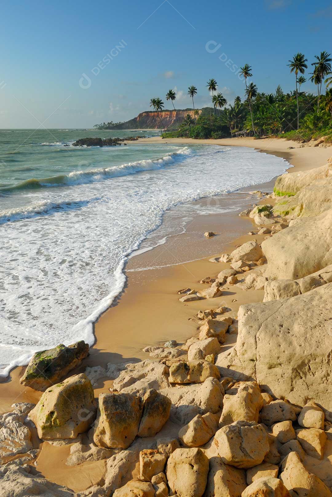 Foto Praia Com Pedras Marrons Areias Paisagem Imagem JPG