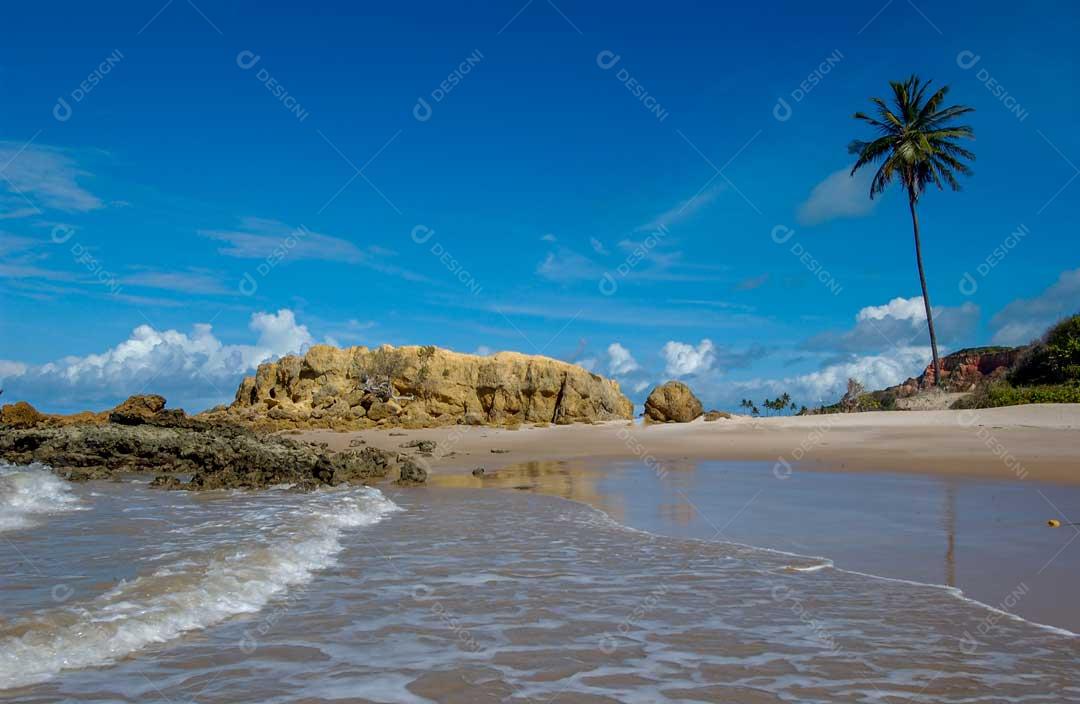 Foto Praia Com Águas Sujas Com Areias Coqueiro Imagem JPG