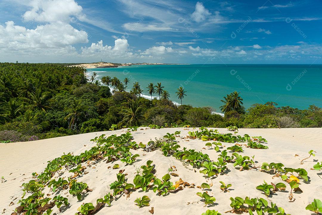 171 White sand dunes with native vegetation with the sea in the background in Maxaranguape, Rio Grande do Norte, Brazil on November 22, 2015-2