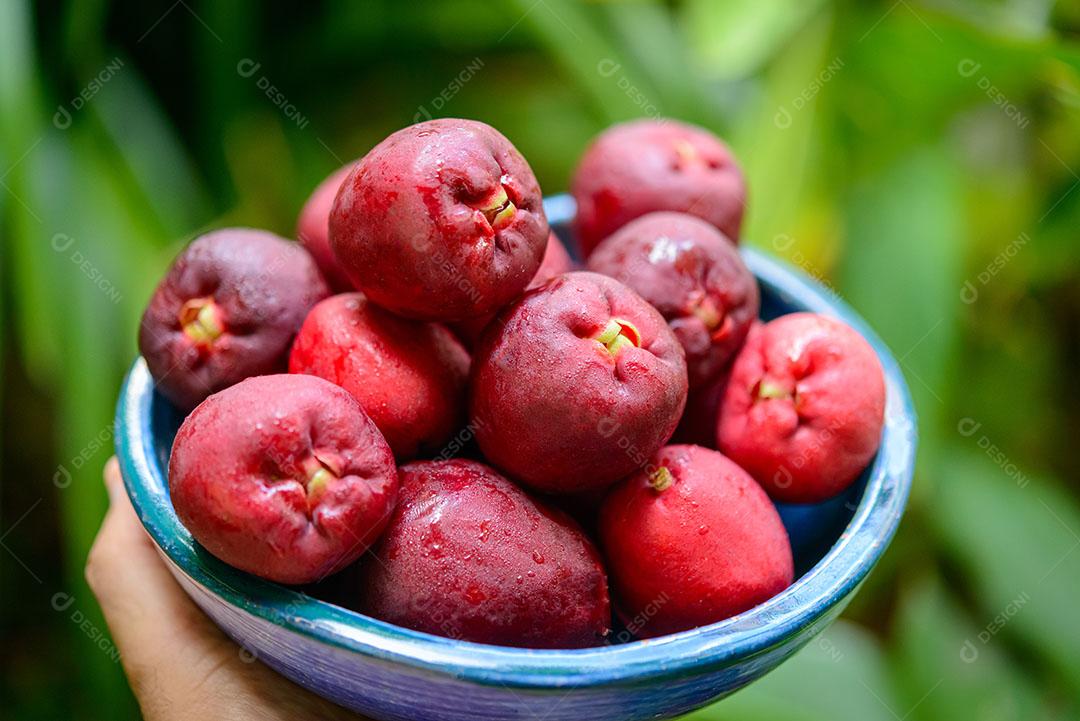 Foto Fruta Típica Nordeste Brasil Jambo Natural em uma Tigela Imagem JPG
