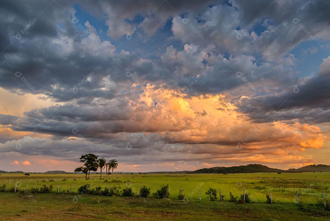 Foto Bonito Mato Grosso do Sul Prado Com Céu Cheio de Nuvens Luz do Sol Imagem JPG