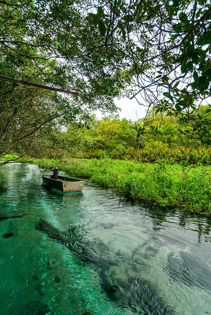 Foto Barco no Rio Formoso Bonito Mato Grosso do Sul Brasil Imagem JPG