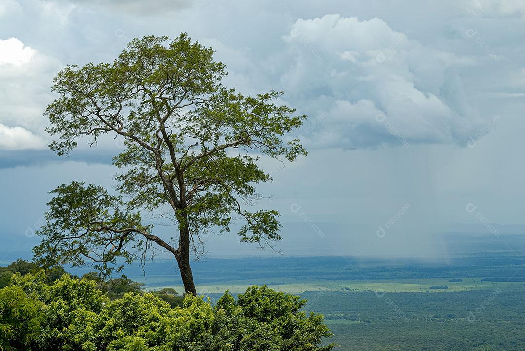Foto Chovendo Parque Nacional Chapada Guimarães Mato Grosso Brasil Dezembro