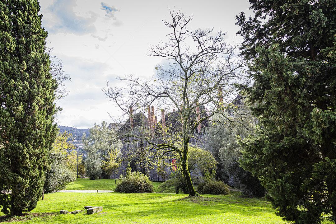 15 Gramado com Árvores em Portugal Imagem jpg