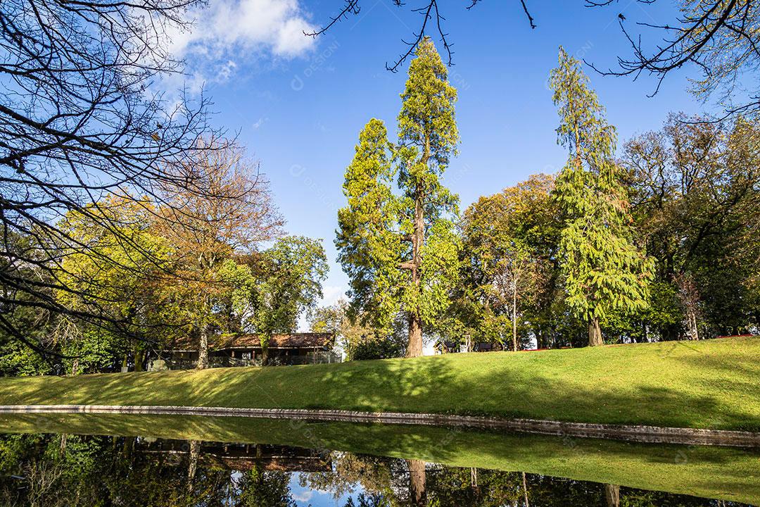 Lago com Céu e Muitas árvores Imagem jpg