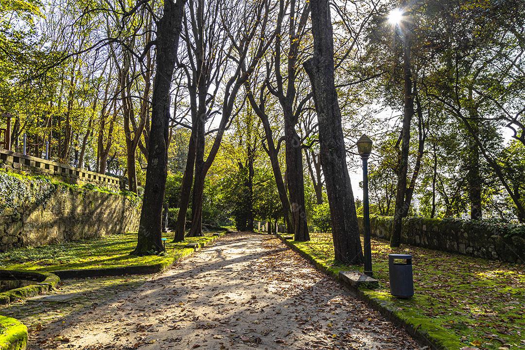 Jardim de Cristais em Portugal Imagem jpg