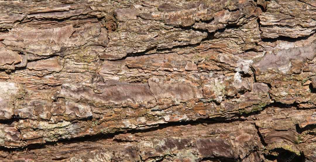 Textura De Roça Marrom Imagem JPG