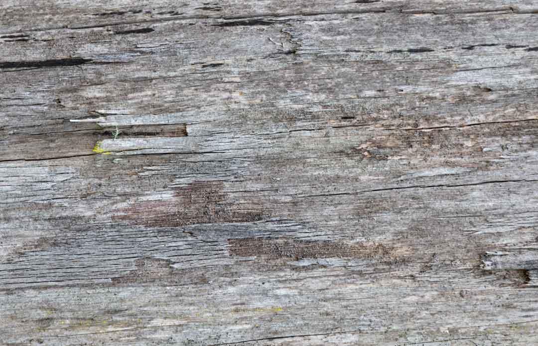 Textura De Roça Marrom Imagem JPG