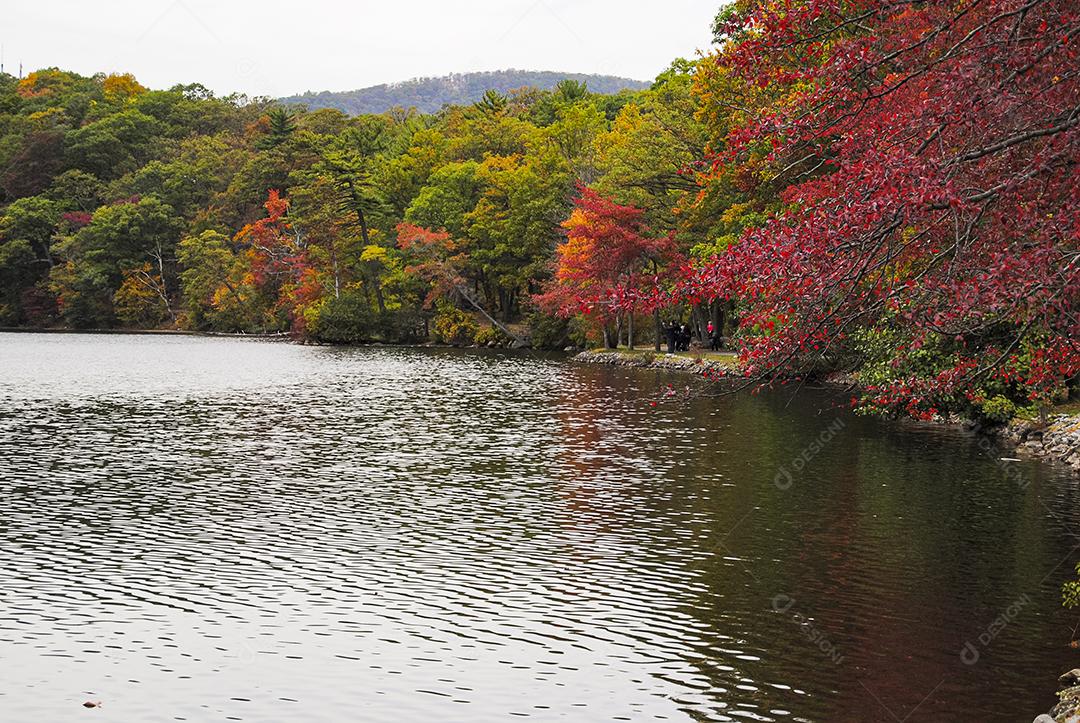 Paisagem Lago e Árvores na Bear Mountain Imagem JPG