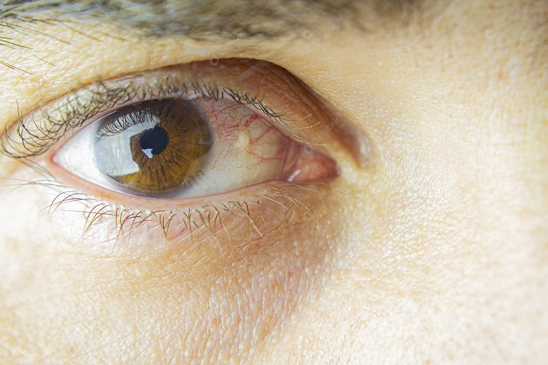 Olho Castanho Imagem JPG