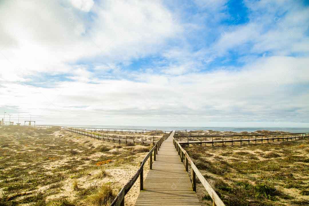 Vista de Cima dos Caminnhos de Madeira na Praia de Furadouro Em Portugal Imagem JPG