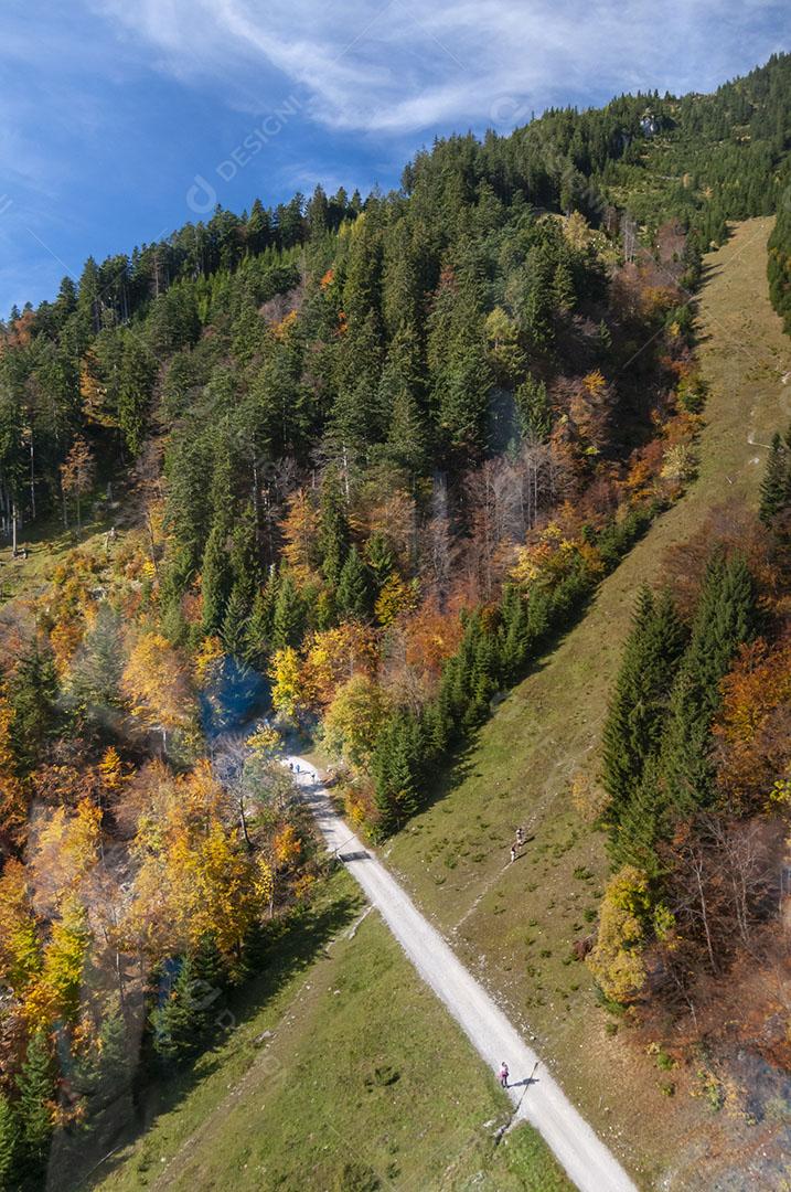 Paisagem Alpina Em Innsbruck Tirol Áustria Árvores Montanhas Imagen JPG