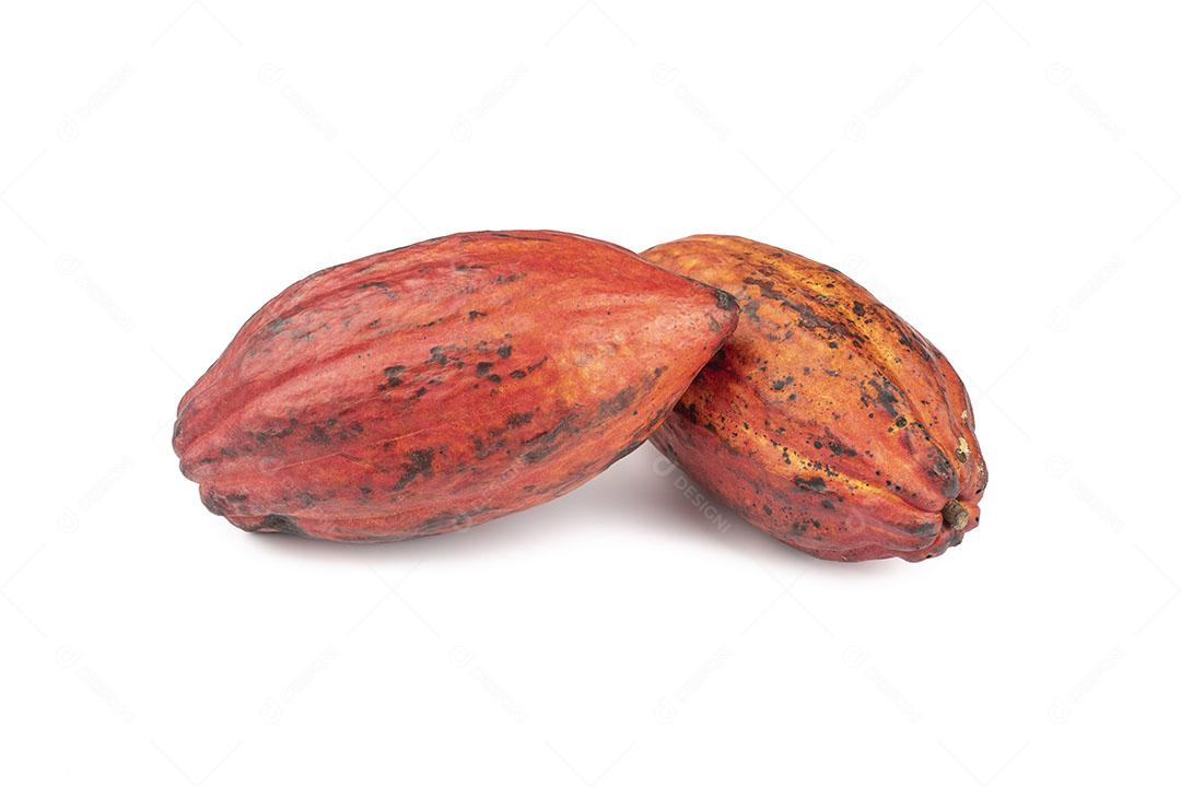 Frutos de Cacau Vermelho Isolados Sobre Fundo Branco Imagem JPG