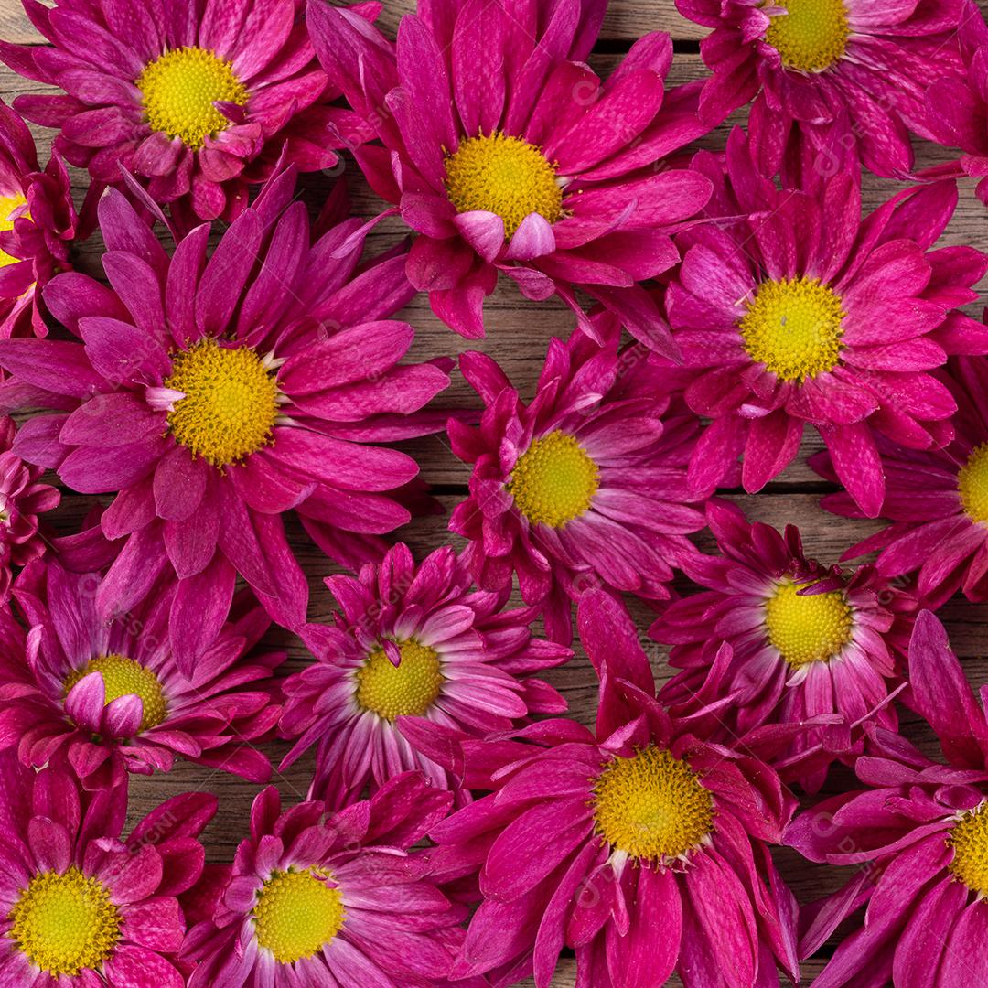 Flores Roxas e Amarelas Sobre a Mesa de Madeira Cenário de Flores Imagem JPG