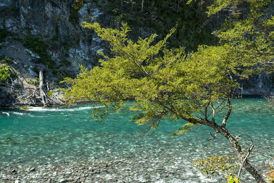 Rio Paisagem Águas Cristalinas Floresta Imagem JPG