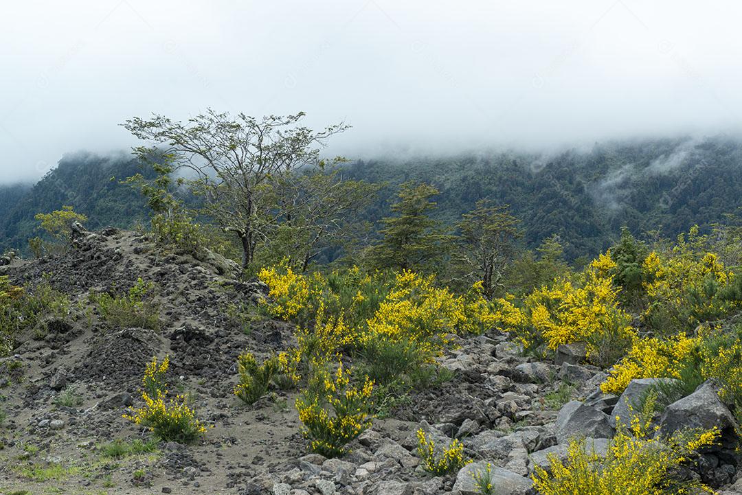 Montanhas Neve Penhasco Vulcão Céu Limpo Imagem JPG