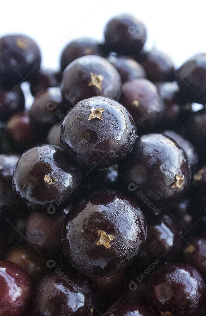 Alimento Fruta de Jabuticaba Fruta Tropical Brasileira Imagem JPG