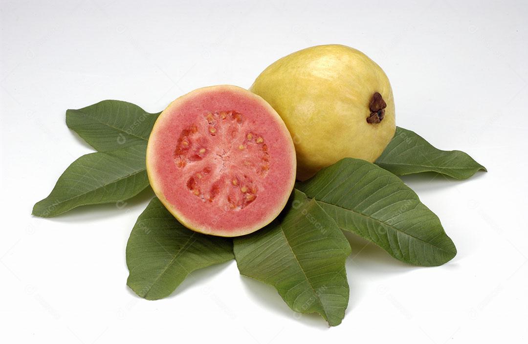 Halved Guavas and Leaves On White Background Tropical Fruit Image JPG