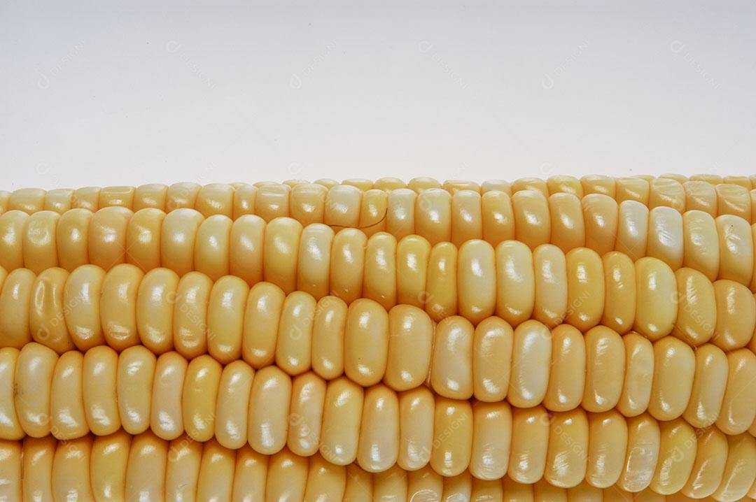 Espiga de Milho Orgânica Isolada no Fundo Branco Imagem JPG