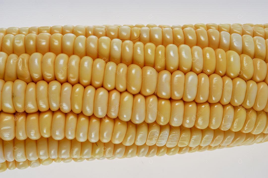Espiga de Milho Orgânica Isolada no Fundo Branco Imagem JPG
