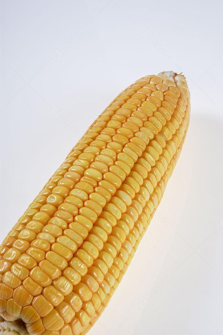 Espiga de Milho Orgânica Isolada no Fundo Branco Imagem JPG