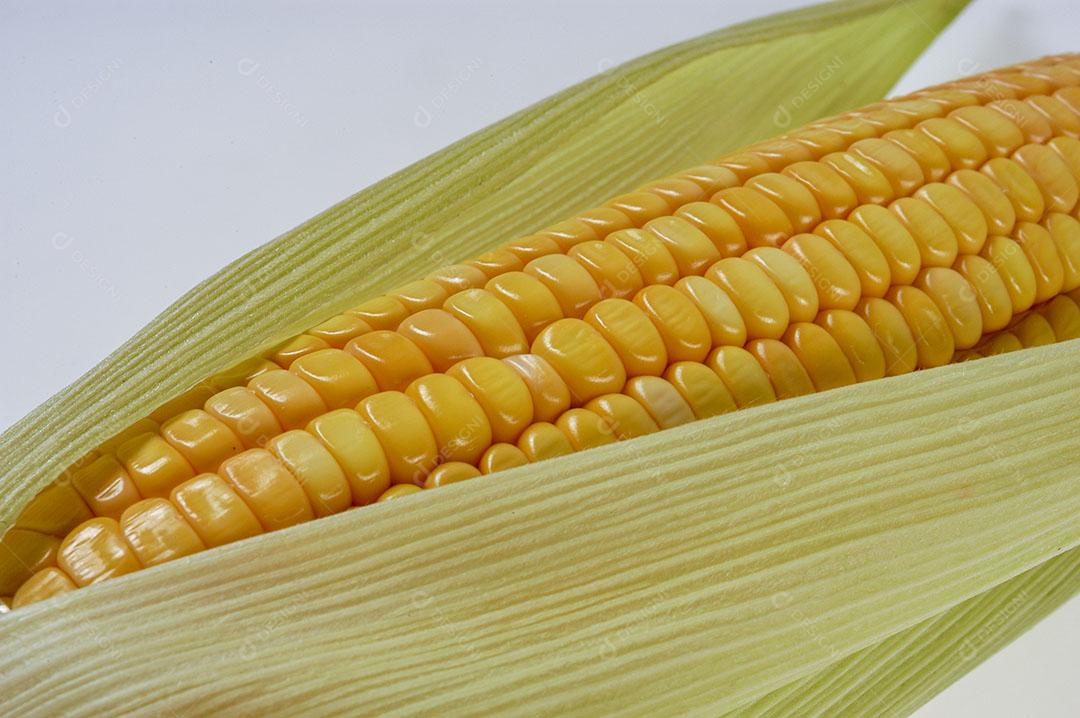 Espiga de Milho Orgânica Isolada no Fundo Branco Imagem JPG