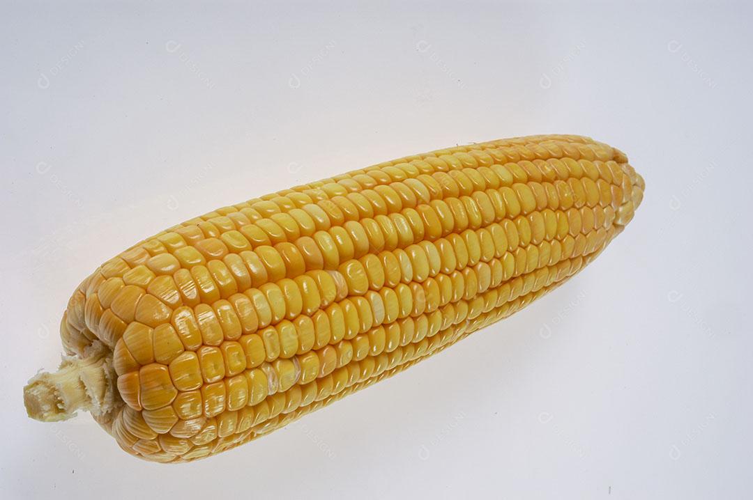 Espiga de Milho Orgânica Isolada no Fundo Branco Imagem JPG