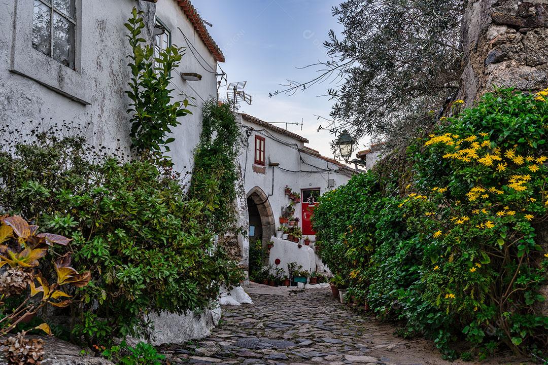 Típica Rua Alentejana Em Portugal na Cidade de Castelo de Vide Imagem JPG