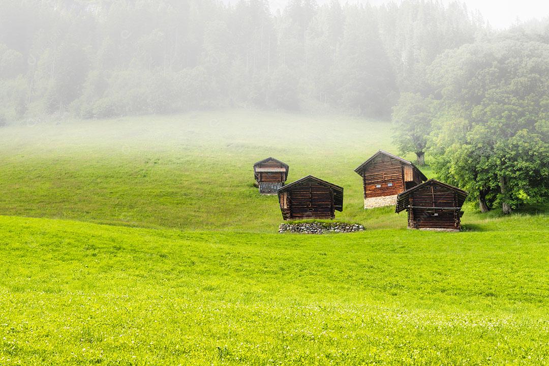 Foto Casas de Madeira Campos Verdes Colinas dos Alpes Suíços Em Um Dia de Neblina