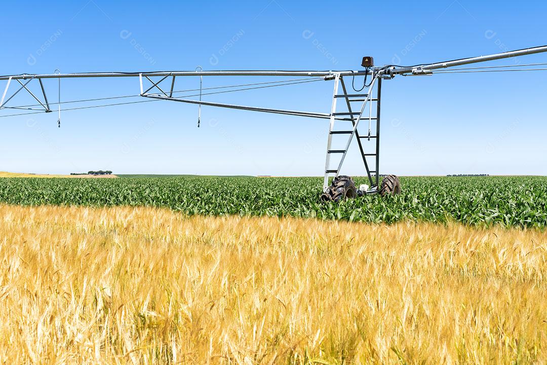 Foto Sistema de Irrigação nas Propriedades Cerealíferas de Castilla y Leon na Espanha