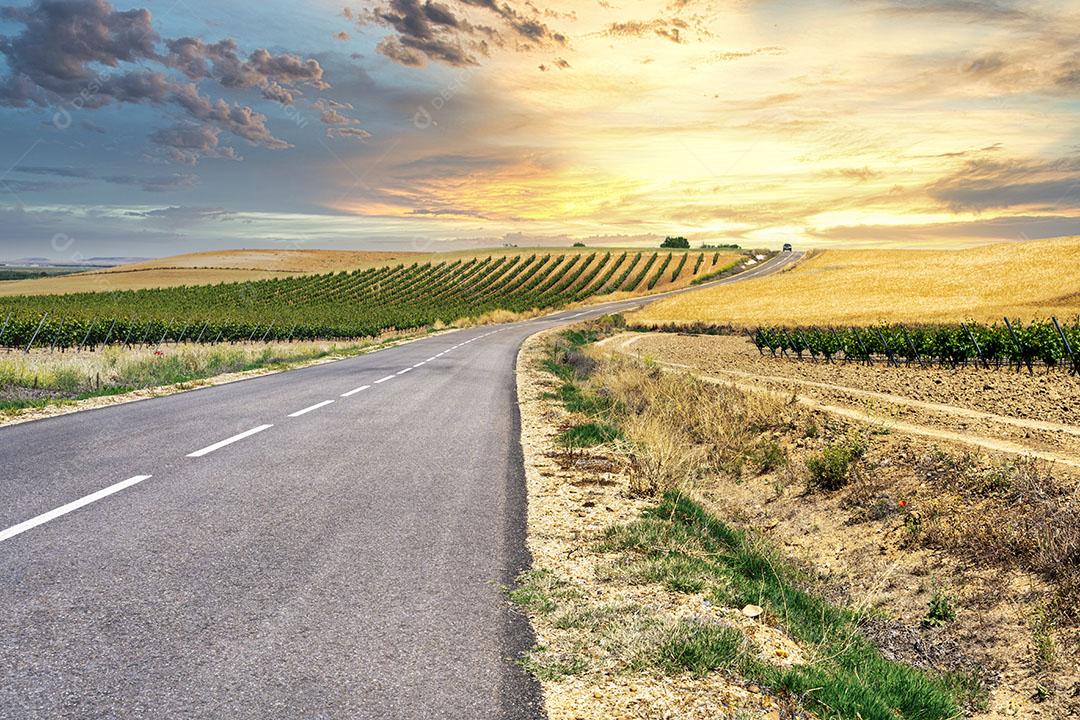 Foto Estrada Deserta Carro no Horizonte Através de Campos Com Vinhas Ao Pôr do Sol