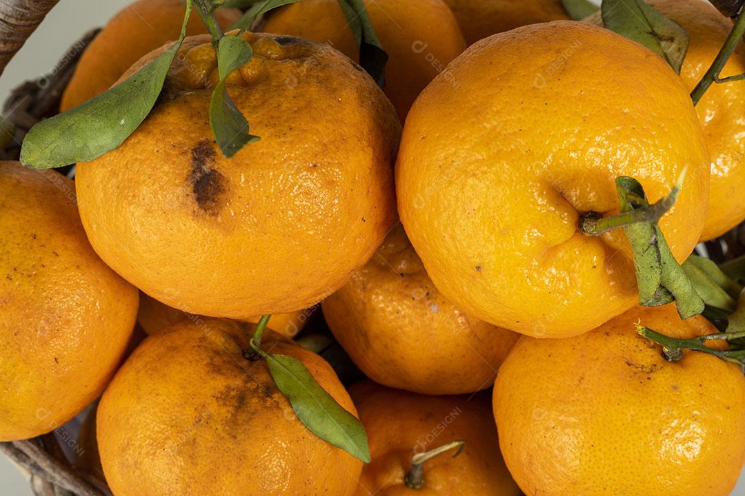 Padrão de Fundo Pokan Tangerina Frutas Imagem JPG