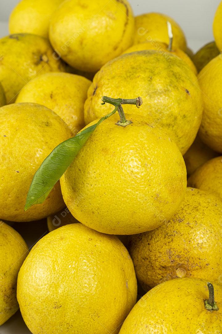 Padrão de Frutas de Fundo de Laranjas Amarelas Imagem JPG