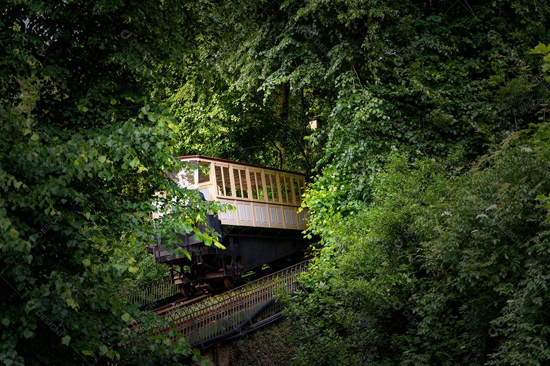 Elevador do Bom Jesus Passando Pela Vegetação Em Braga Portugal Imagem JPG