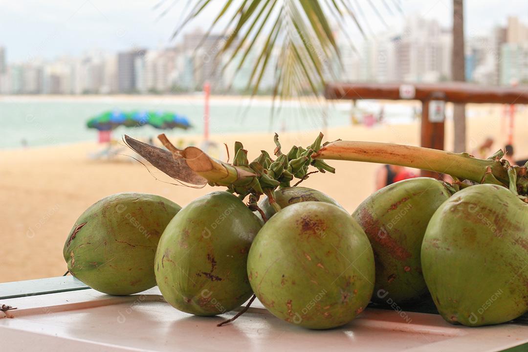 Ramo de Cocos Verdes Frescos Com Praia Urbana no Horizonte Imagem JPG
