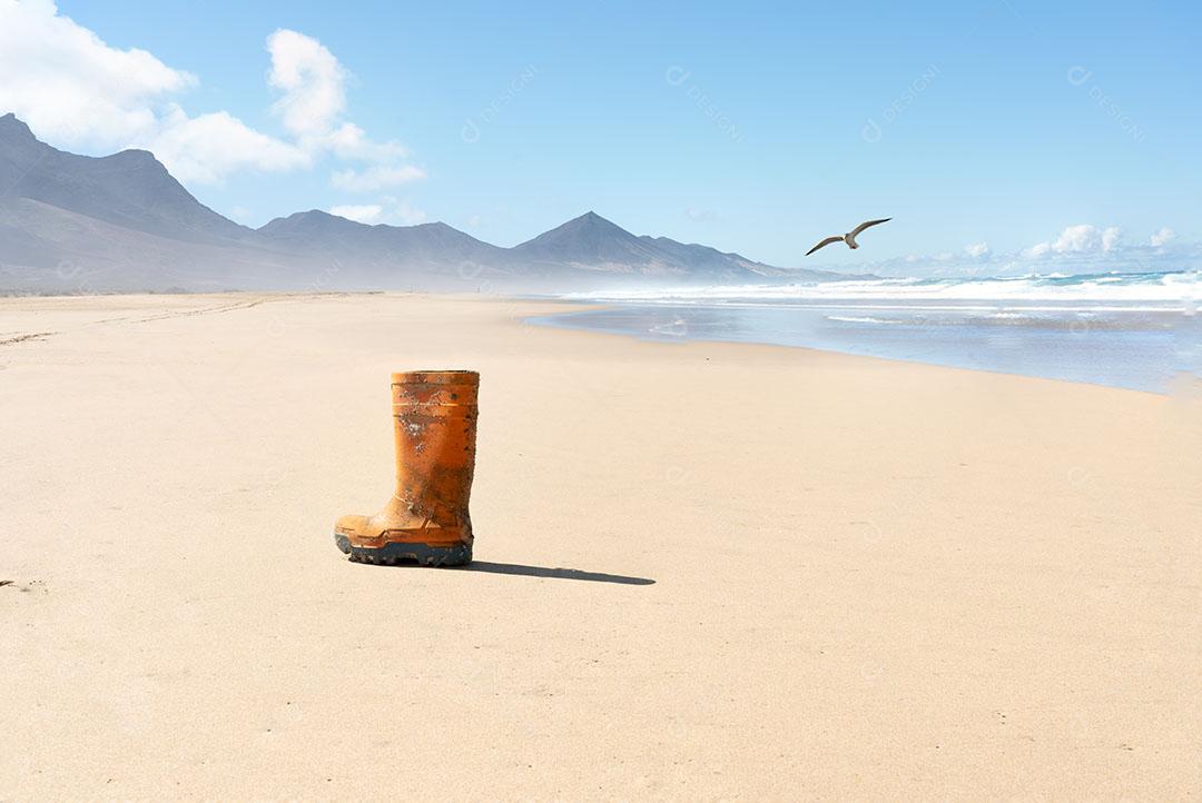 Foto Praia de Cofete na Ilha de Fuerteventura Com Uma Bota de Pescador Uma Gaivota