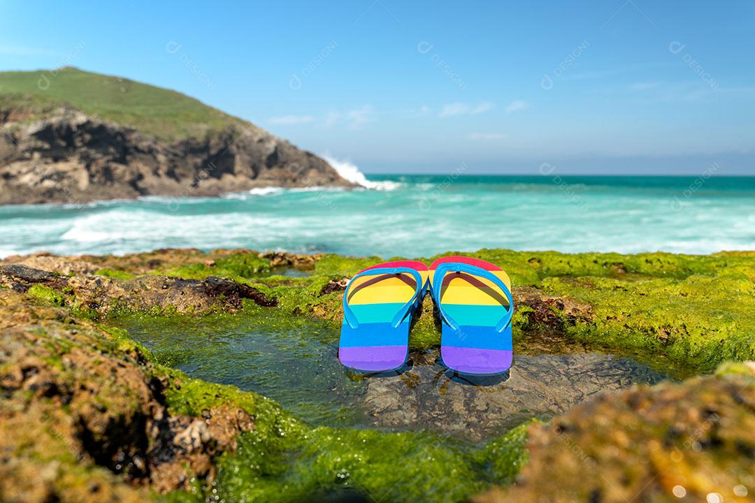 Foto Chinelos Coloridos Bandeira Lgbt Algas Verdes Praias Rochosas da Cantábria Espanha