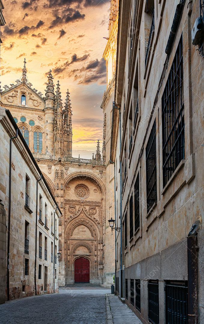 Catedral de Salamanca Espanha Ao Nascer do Sol Imagem JPG