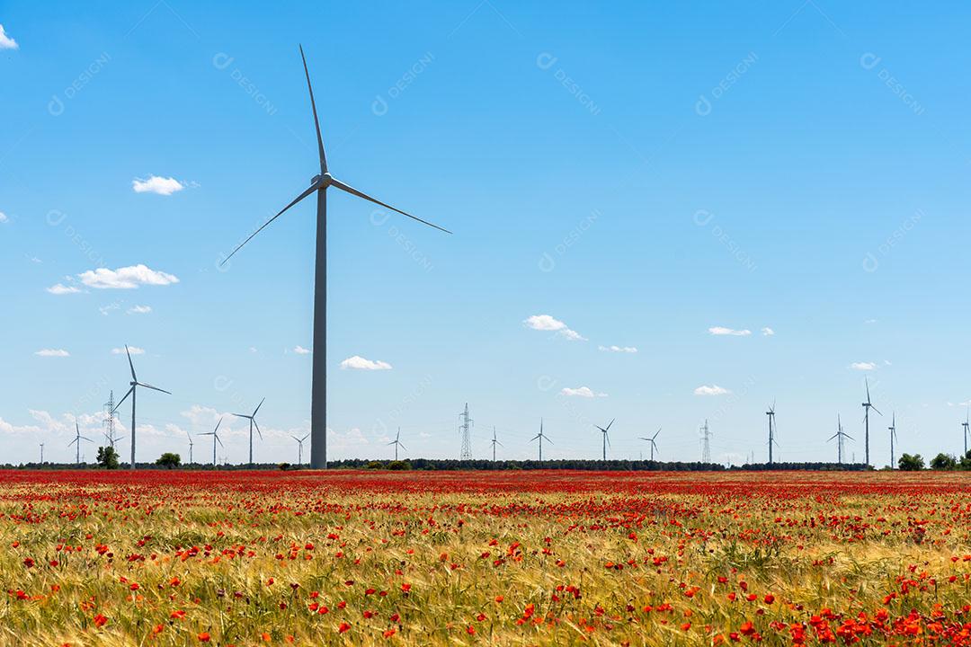 Torre De Moinho De Vento Do Parque Eólico Imagem JPG