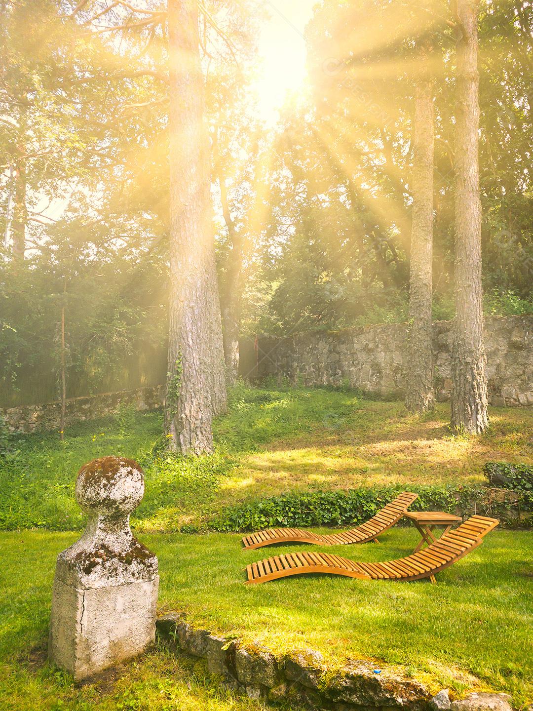 Vista De Bosque E Duas Cadeira Com Luz Do Sol Entre As Arvóres Imagem JPG