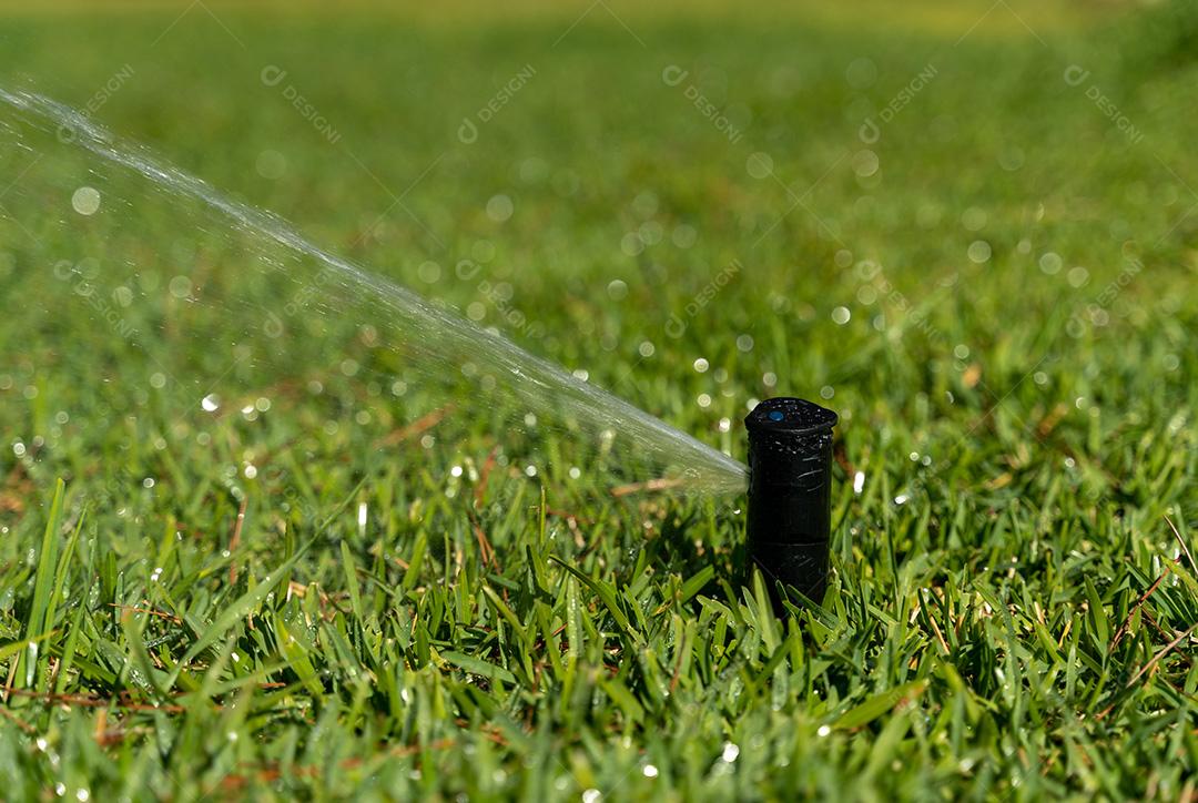 Sistema De Irrigação Do Jardim Para Molhar O Gramado Imagem JPG