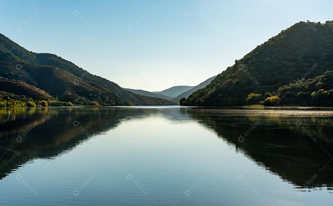Vista Das Vinhas Do Vale Do Douro Refletidas Na Água Imagem JPG