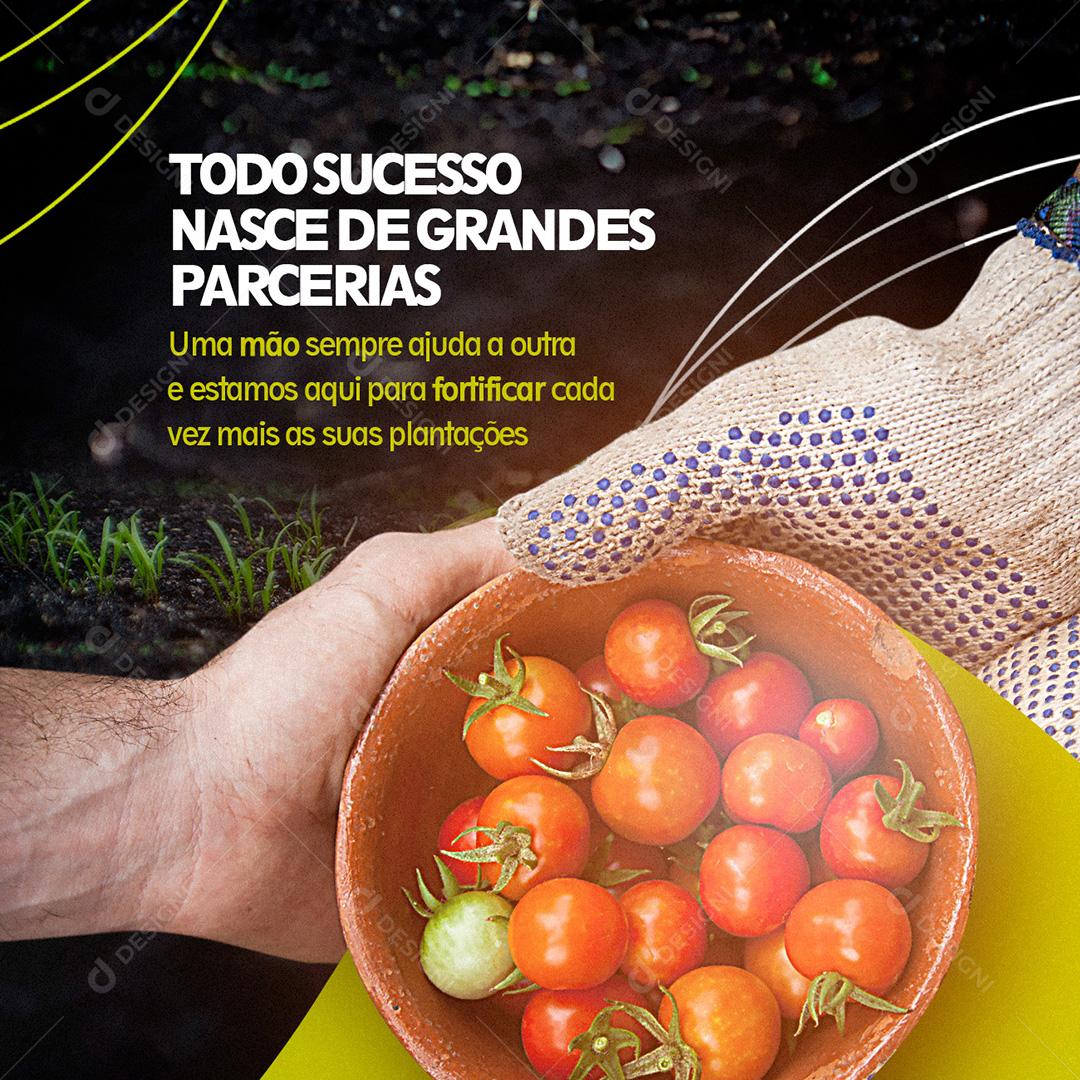Social Media Fertilizantes Todo Sucesso Nasce De Grandes Parcerias PSD Editável