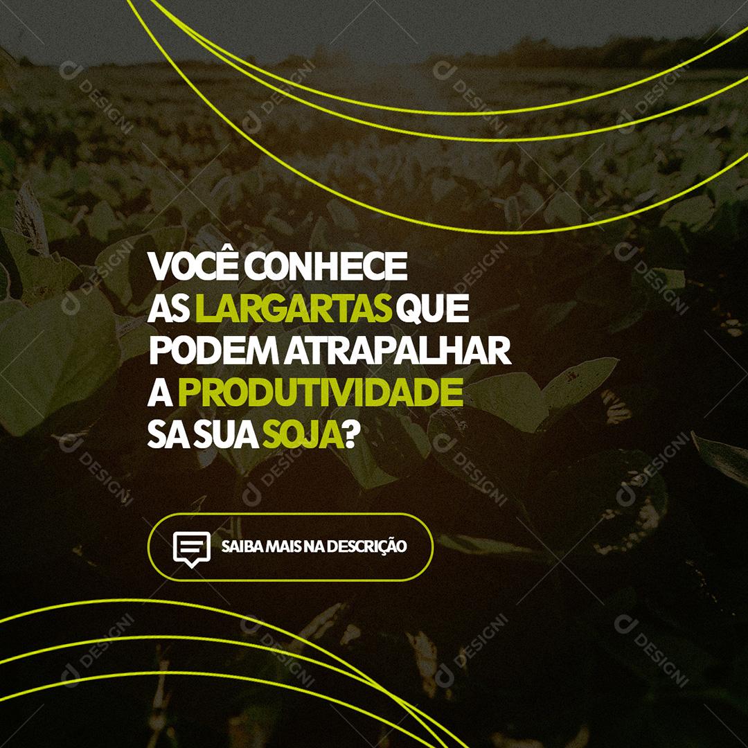 Fertilizantes Agropecuária  Social Media PSD Editável